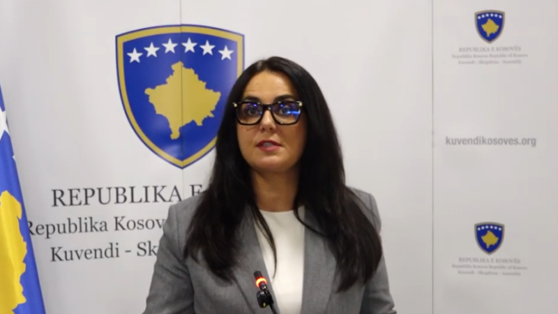 ‘Telenovela’ për president, Lushaku: Barra e dështimit bie mbi VV’në