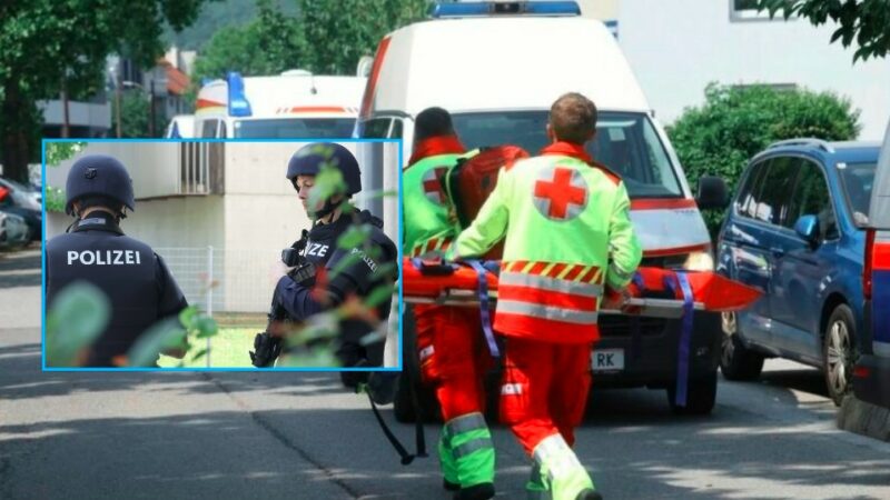 Kosovari që vrau ish-gruan në Austri – Arma u ble për 900 euro, prangoset edhe shitësi i saj