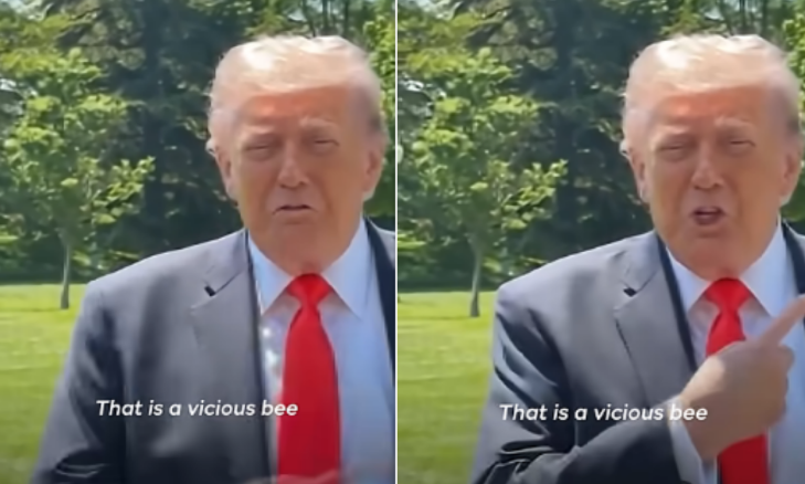 ‘Bletë e egër’: Trump pengohet keq gjatë fjalimit nga një insekt, bëhet nervoz