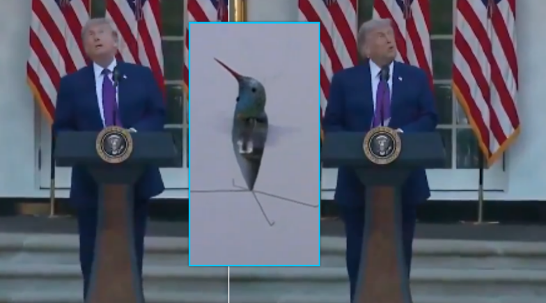 ‘Mendova se ishte dron’: Trump ndal fjalimin pasi pa një zog që lëvizte në qiell