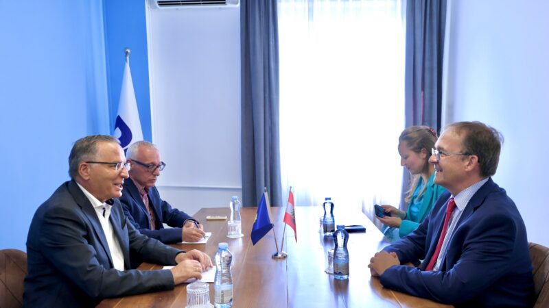 Hamza pas takimit me Ambasadorin e Austrisë: Kosovës i duhen institucione stabile dhe zhvillim për qytetarët