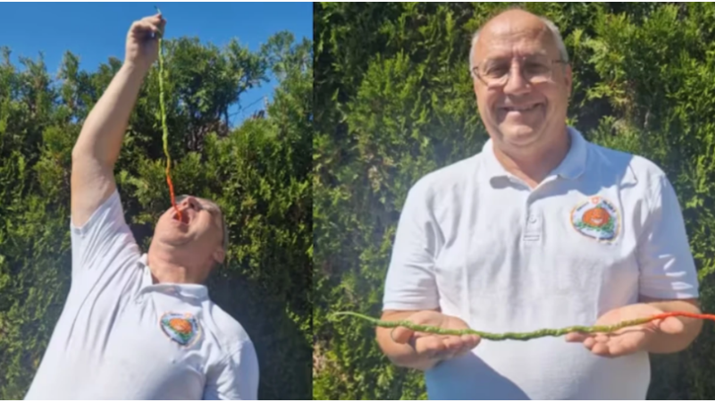 52 centimetra i gjatë, ky është speci djegës që theu rekordin botëror