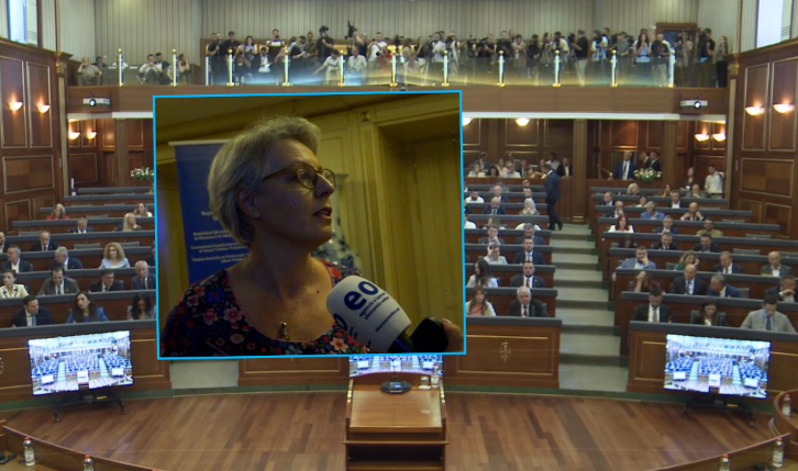 Schwarz diplomacia në aksion: Optimiste për ‘zhvillim të madh’ para seancës konstituive