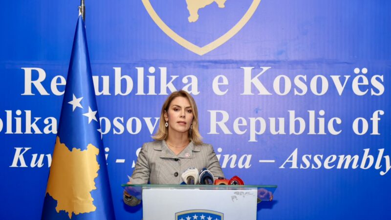Deliu-Kodra: PDK i ka në dispozicion 22 votat për Presidentin nëse votohet Ligji për Specialen