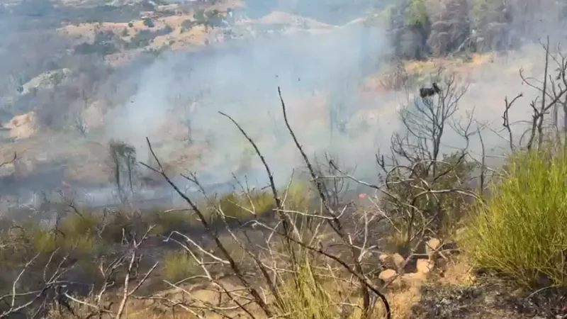 Flakët pushtojnë ullishtet në Kropisht të Shqipërisë, rrezikohen shtëpitë