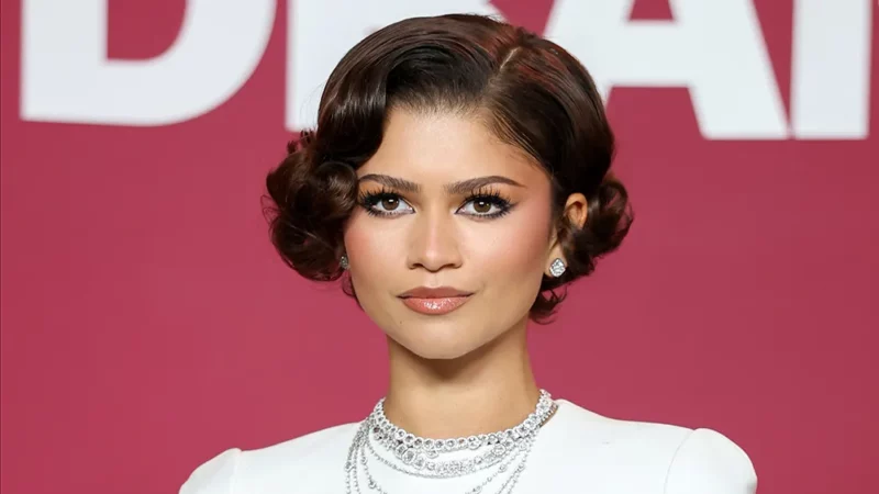 Në 30-vjetorin e saj, Zendaya largohet sërish nga rrjetet sociale